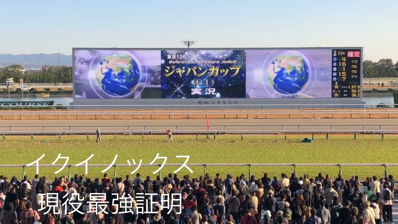 京都競馬場で見るJC現役最強馬決定戦イクイノックスの強さに場内唖然😱