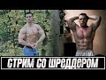 Стрим с Алексеем Шреддером