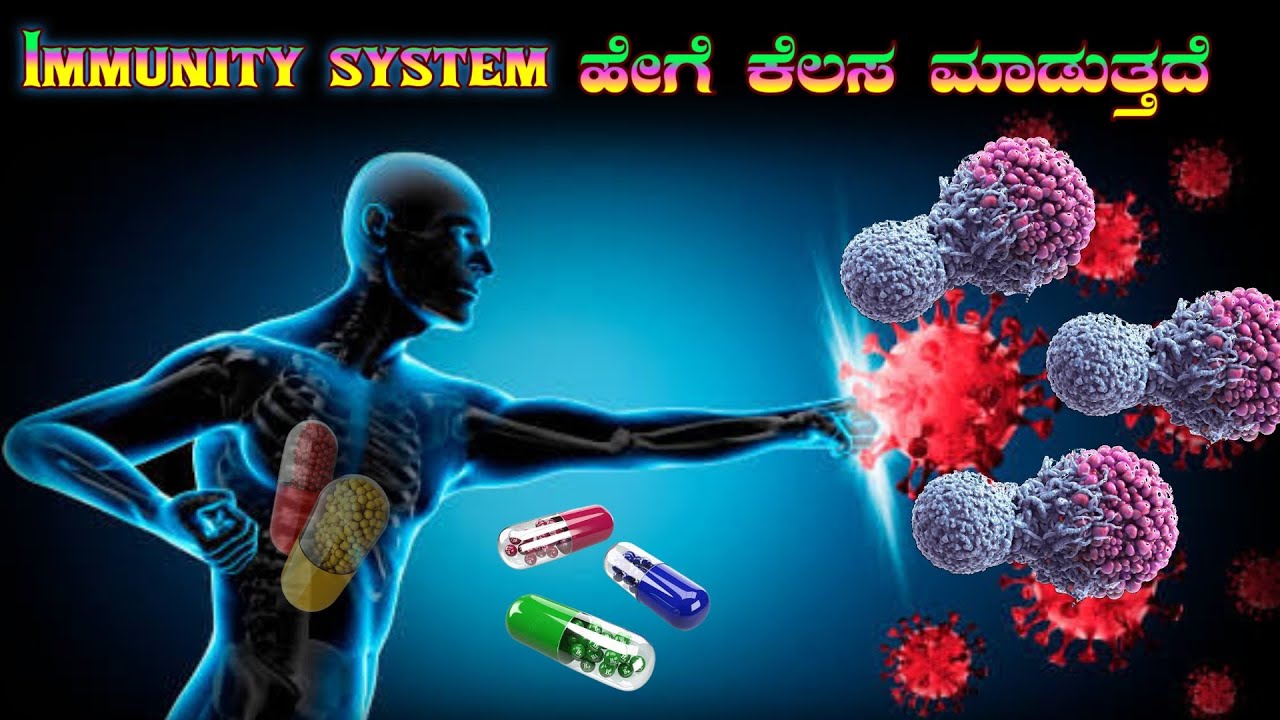 Immune System In Kannada How Does Immune System Attacks Virus YouTube