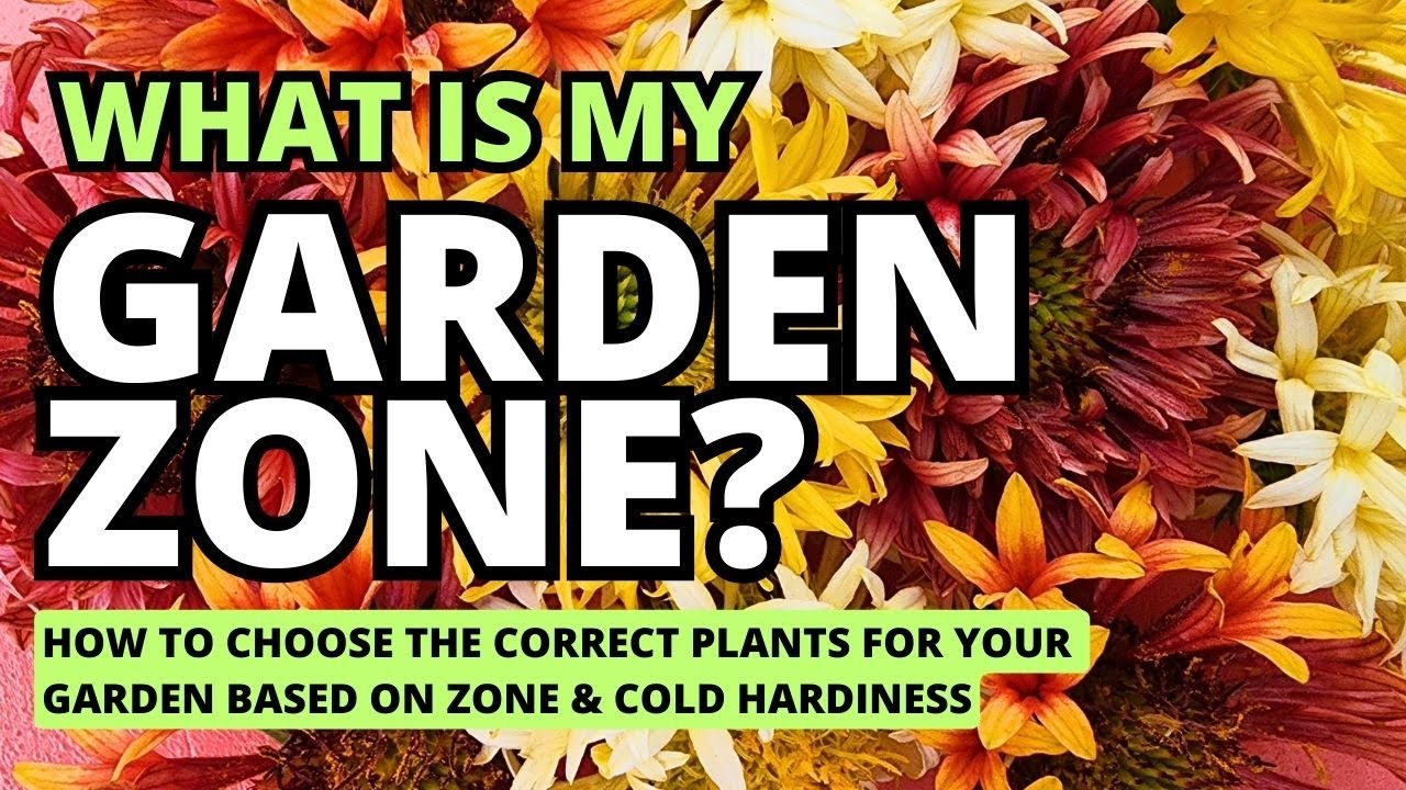 What Is My Garden Zone? Choose The Correct Plants for Your Garden Based