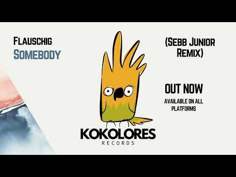 Flauschig - Somebody (Sebb Junior Remix) 🦜 [Kokolores Records]