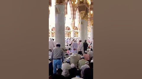 تلاوة عطرة من ذكر الله الحكيم #قرآن #قرآن_كريم #اكسبلور#shortvideo