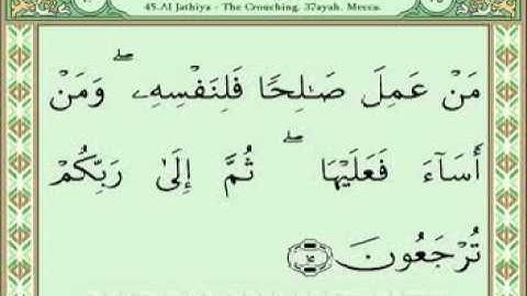 سورة الجاثية 1-32