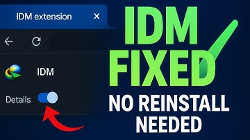 Enable IDM Extension in Chrome (Fixes Downloads Not Capturing 2025)