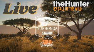 VORHONGA - A TEMIDA SAVANA - THE HUNTER: COW OF THE WILD - LIVE