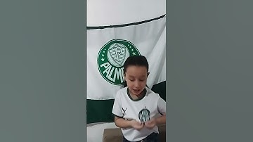 Thumbnail of Eu sou palmeiras sim senhor