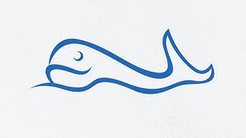 How to Create a Fish Vector in Adobe illustrator - Logo Design Tutorial