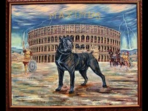 History of rottweiler #rottweiler #History #of #rottweilerhistory - YouTube