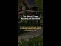 The Ghost Town Mystery of Roanoke | Roanoke Colony vanishing #Shorts