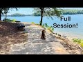 Training a Mini Labradoodle?.…What to Expect 