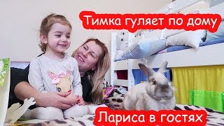 VLOG Батон приехал.  Девочки уехали в Польшу