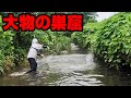 台風の恩恵！？普段は入れない小川で投網を打ったらヤバかった！