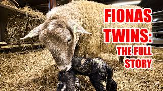 Download Lagu The Night Fiona Became A Mom… The Full Story! MP3