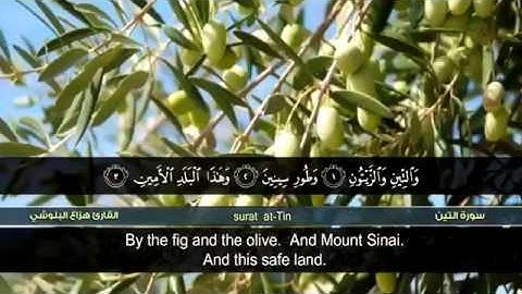 سورة التين للقاريء هزاع البلوشي