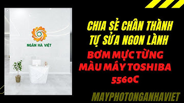 bơm từng màu toshiba 5560c
