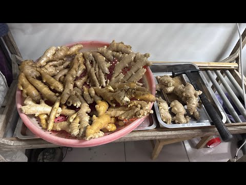摔倒後瘀青敷薑