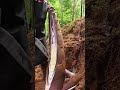 digging and peeling bamboo shot  super fast manually - farming  - agriculture #shorts
