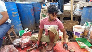 Fish master cutting is live#live