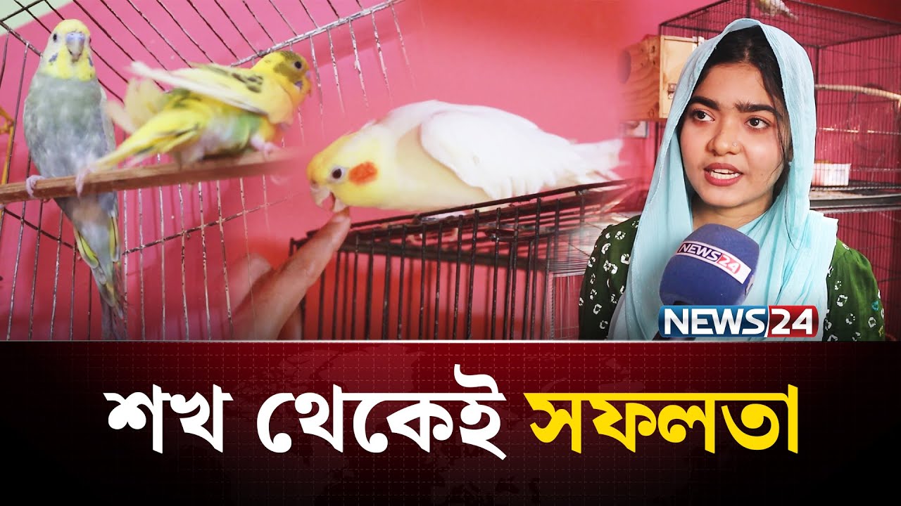 শখের পাখি থেকে মাসে আয় ২৫ হাজার টাকা! | Bird Lovers | Farming Success | NEWS24 Special