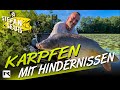 Karpfenangeln mit Hindernissen | Angeln auf Karpfen in den Seerosen mit dem Belly Boot am Fluss