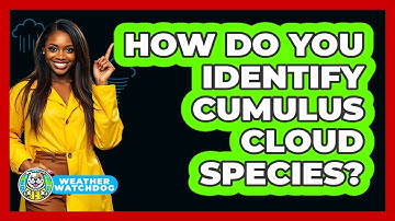 How Do You Identify Cumulus Cloud Species? - Weather Watchdog