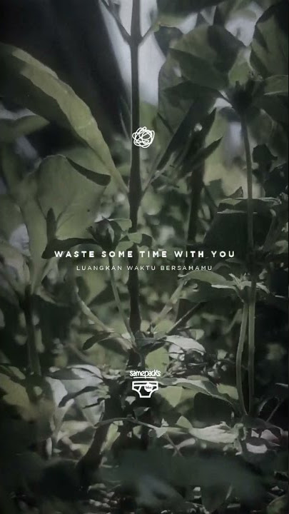 The Used - Blue And Yellow - Story WA - Lirik Terjemahan #shorts