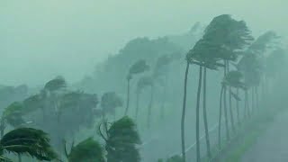 Le cyclone qui a détruit Haïti Resimi