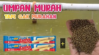 Umpan Ikan Mas Pelet 781 || Racikan Anti Ribet, Simpel & Gak Murahan...