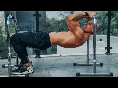 Full Body HOME WORKOUT with Parallettes | Frank Medrano