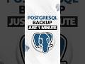PostgreSQL Backup Guide for Beginners | How To PostgreSQL Logical Backup |PostgreSQL Backup Tutorial