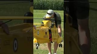 This Sea King is Huge !