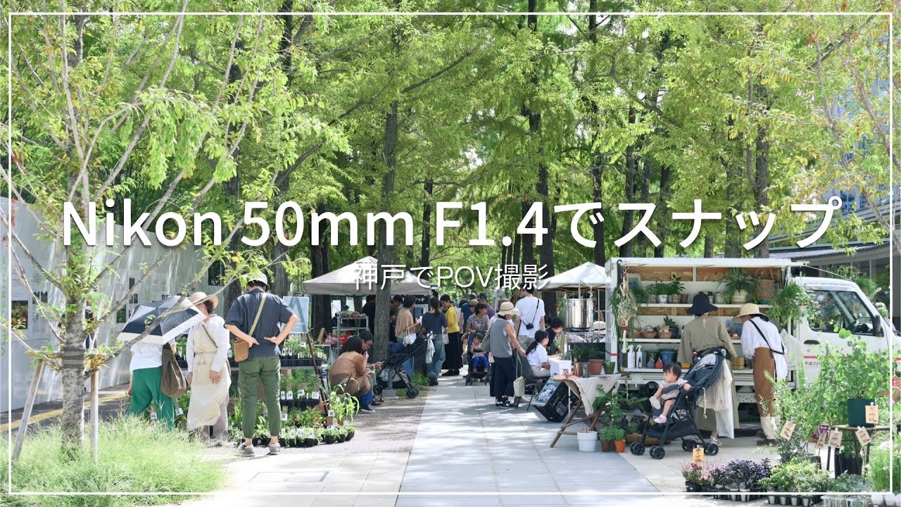 【✨初心者向け！すぐ使える！】NikonD5600(作例写真あり！) 今すぐ使えるかんたんmini Nikon D5600 基本＆応用 撮影ガイド