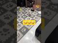 朝のルーティンをサボるとこうなる🤣🤣🤣#shorts #可愛い犬 #マルチーズ