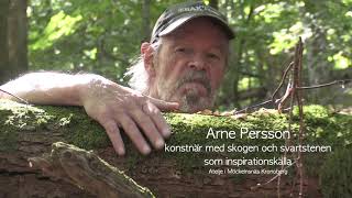 En film om konstnären Arne Persson by Mats Harrysson 125 views 8 months ago 8 minutes, 51 seconds