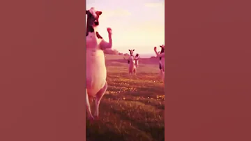 حسوني سوني 