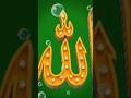 Islamic dpz collection ♥️ || Allah Muhammad name dp images for WhatsApp #allah #love