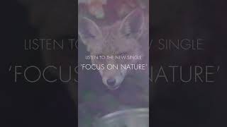 The Bevis Frond new album ‘Focus on Nature’ out 1 March 2024, pre-order + listen to the first single