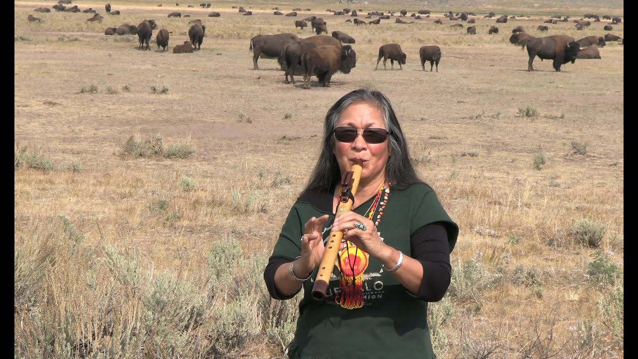 Buffalo Field Campaign Virtual Roadshow