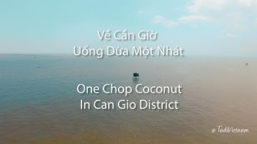 Về Cần Giờ Uống Dừa Một Nhát - One Stab Coconut in Can Gio| Tadivietnam
