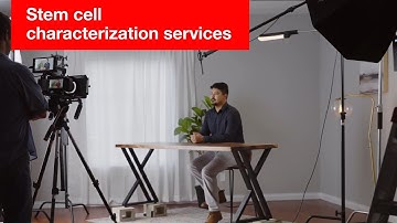 Thermo Fisher Cell Biology Services Characterization