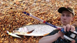 Favorite Rods Defender Casting Rod Review Worth The 100?