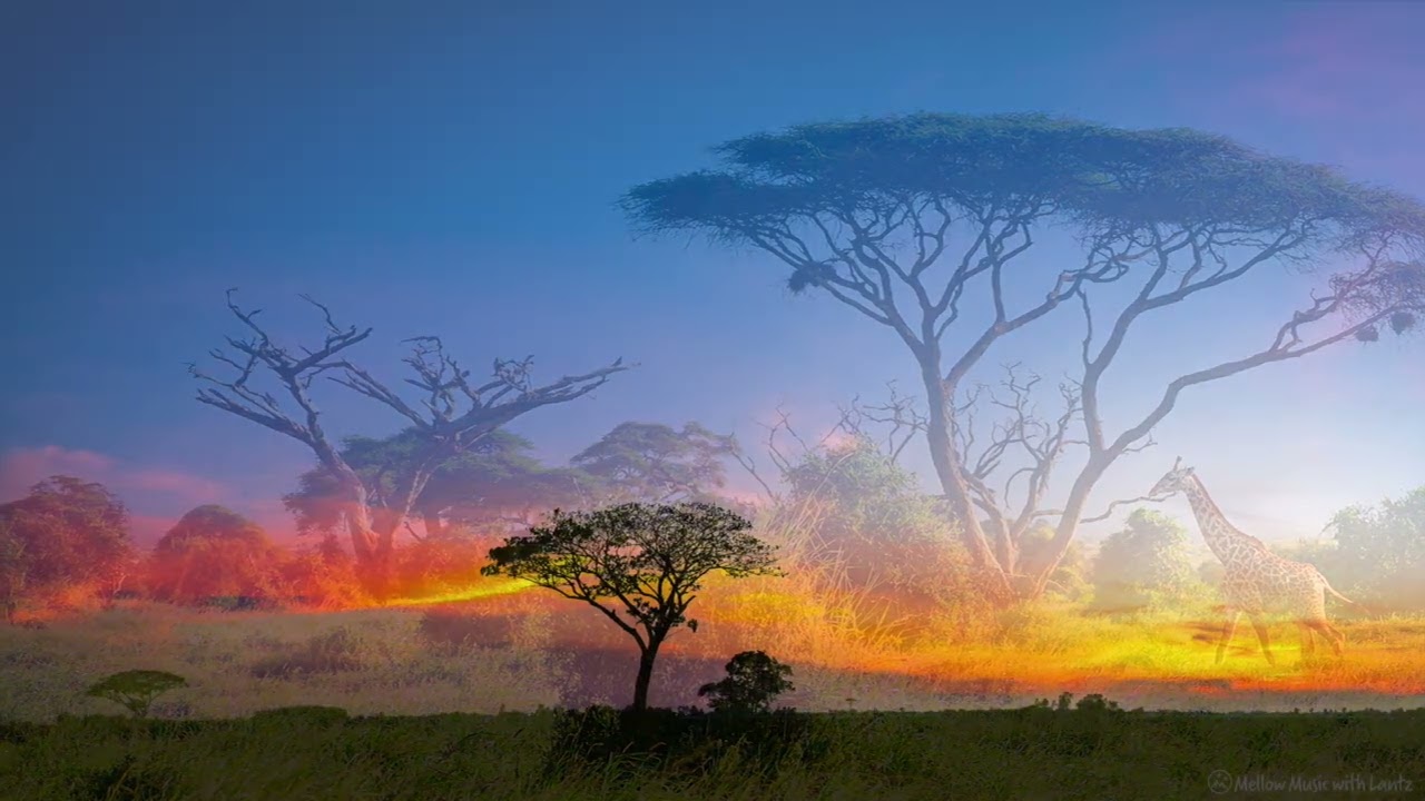 Watch Vision Quest - Sensual Wooden Flute Music with Beautiful Images of the Serengeti Plains on YouTube Watch Vision Quest - Sensual Wooden Flute Music with Beautiful Images of the Serengeti Plains on YouTube
