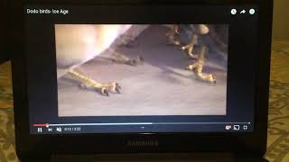 Dodo March Lazy Town Theme Song German