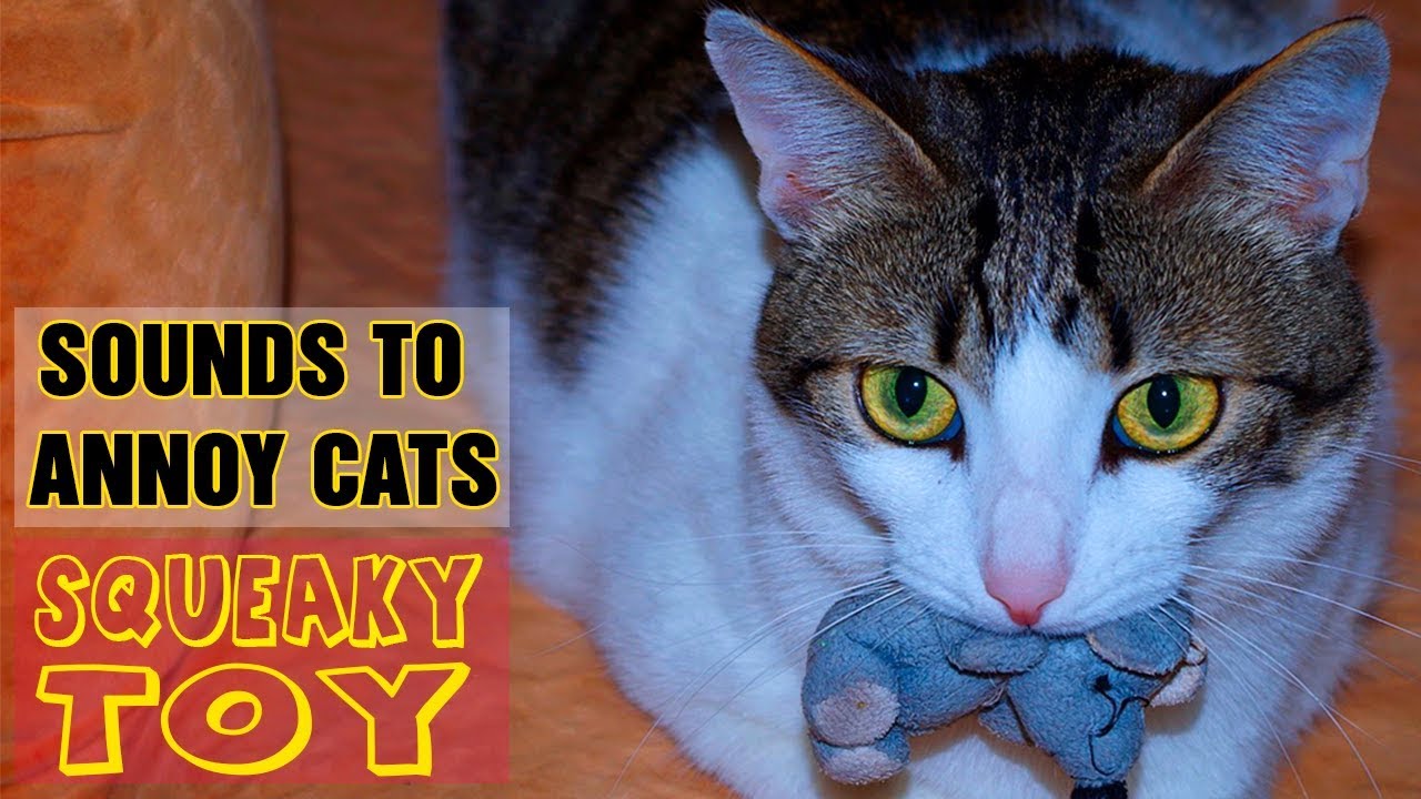 Annoy Cats Squeaky Toy Sound Effect