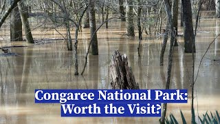 Congaree National Park  Don't plan too far ahead