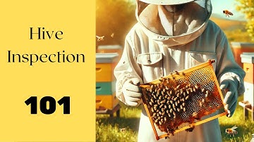 Hive Inspection 101: The Ultimate Guide for New Beekeepers! 🐝 #hiveinspection #beekeeping #bees