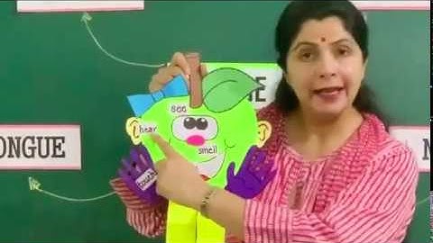 Class III (EVS) - Our Sense Organs - Part 1