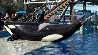 Inside Look @ SeaWorld San Antonio 2025