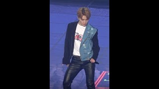 190310 캐럿랜드 디노 MOVE