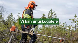 Dyktige mannskaper gjør ungskogpleien for deg! 🌲